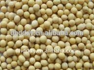 NEW crop organic soybean