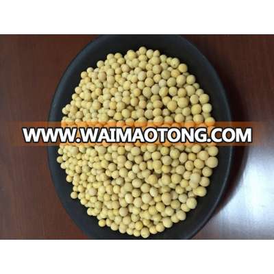 organic soybean