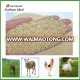 China Supplier Animal Protein Soybean Meal 46% Feed Grade