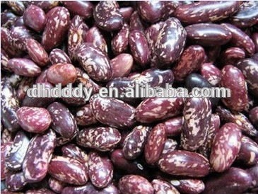 purple speckled kidney bean